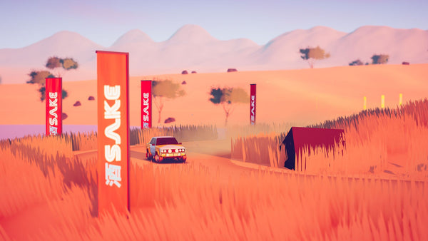 art of rally - Premium Collector's Edition
