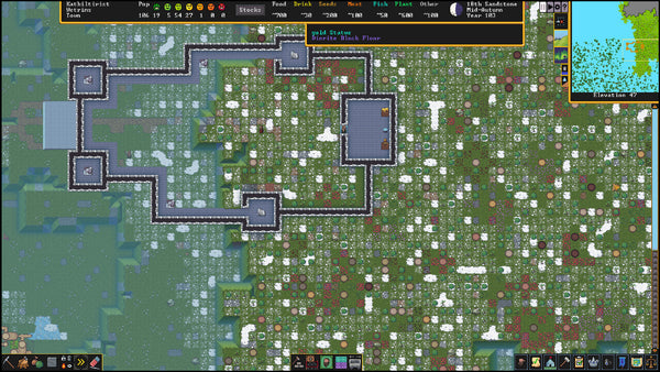 Dwarf Fortress 20th Anniversary Archival Collector’s Edition
