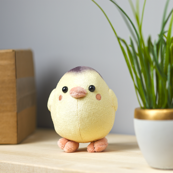 Unpacking - Hen and All Chicks Plushie Set